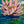 Painting of flowers on a blue and green background